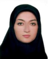  روحا دباغیان عضو کمیته آموزش و پژوهش کانون مهندسین ساری
