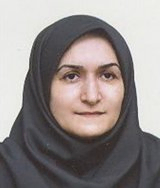  گیتی میرمحمدصادقی استاد،دانشگاه امیرکبیر