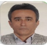 دکتر علی اصغر انواری رستمی استاد، مرکز مطالعات مدیریت و توسعه فناوری، دانشگاه تربیت مدرس