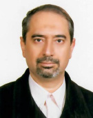 ناصر خاجی ناصر خاجی