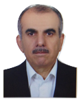 دکتر حمزه شکیب استاد دانشکده مهندسی عمران و محیط زیست دانشگاه تربیت مدرس