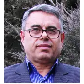دکتر سید مهدی میرزابابائی دانشیار دکتر سید مهدی میرزابابائی دانشیار