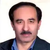 دکتر حسین نوین عضو هیات علمی دانشگاه محقق اردبیلی دکتر حسین نوین عضو هیات علمی دانشگاه محقق اردبیلی