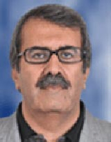 پروفسور سیدرسول میرقادری دانشگاه تهران