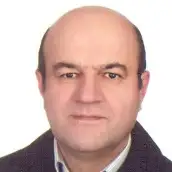 دکتر علی اصغر سعیدی دانشیار دانشکده علوم اجتماعی دانشگاه تهران