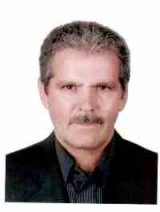 دکتر محمدباقر رضایی استاد، موسسه تحقیقات جنگل ها و مراتع کشور