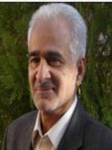  محمود سلوکی دانشیار،عضو هیئت علمی دانشگاه زابل