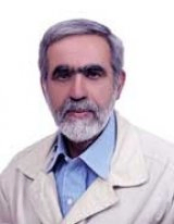 دکتر عبدالحمید نقره کار رئیس مرکز تحقیقات و قطب علمی معماری اسلامی دانشگاه علم و صنعت ایران