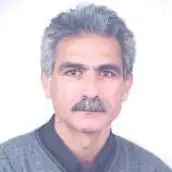 دکتر پرویز ایران نژاد دانشیار، دانشگاه تهران