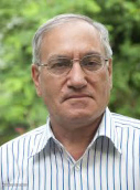 دکتر سیدبیوک محمدی استاد گروه علوم اجتماعی پژوهشگاه علوم انسانی و مطالعات فرهنگی