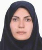  زهرا احمدی بروغنی مربی گروه مهندسی برق و کامپیوتر دانشگاه بیرجند