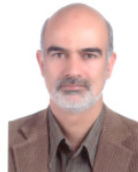 دکتر محسن خورشید زاده استادیار گروه علوم تربیتی و روانشناسی دانشگاه بیرجند