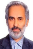 دکتر محمود بی جن خان استاد زبان شناسی ، دانشکده زبان ها و ادبیات خارجی ، دانشگاه تهران ،