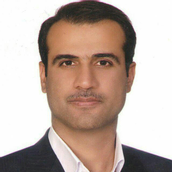 دکتر حسین صفری استاد تمام گروه مدیریت، دانشکده مدیریت،  دانشگاه تهران