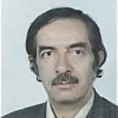 دکتر فرخ حجت کاشانی استاد، دانشکده برق و الکترونیک، دانشگاه علم و صنعت ایران، تهران، ایران
