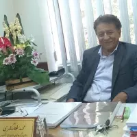 دکتر محمد غضنفری Department of English
Faculty of Letters and Humanities
Ferdowsi University Of Mashhad, Mashhad, Iran
