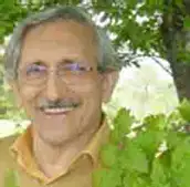 دکتر تیمور رستمی Professor, Department of Forestry, Faculty of Natural Resources, University of Guilan, Guilan, Iran.