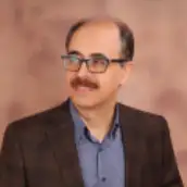 دکتر سیدحسین میثمی دانشگاه هنر ایران دکتر سیدحسین میثمی دانشگاه هنر ایران